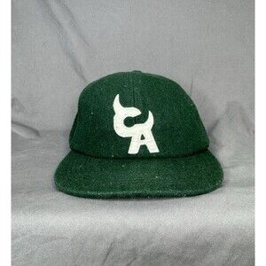 Tyler The Creator Green Chromakopia Tour Wool Hat Adjustable Merch Flog Gnaw